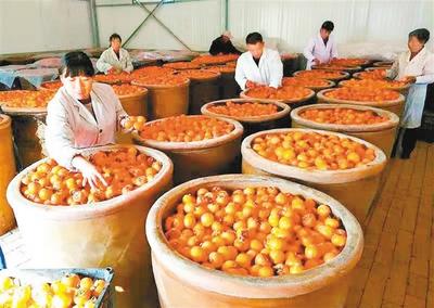 農村致富的黃金之路,打造特色食品企業