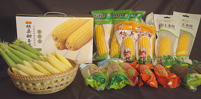 特色產(chǎn)品|橫縣甜玉米憑什么獲得農(nóng)產(chǎn)品地理標(biāo)志登記證書?