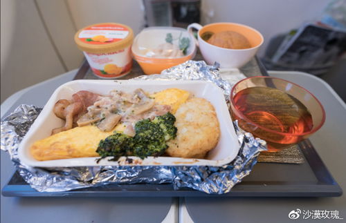 飛機(jī)餐到底哪家強(qiáng) 盤點 最好吃 的航空公司